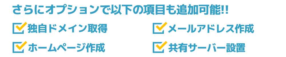 オプションで以下の項目も追加可能
独自ドメイン取得、メールアドレス作成、ホームページ作成、共有サーバー設置